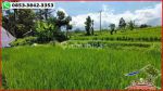 thumbnail-potensial-tanah-terasering-landai-48-are-di-penebel-tabanan-6