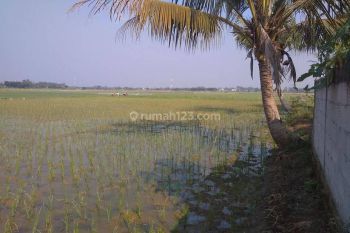 Dijual Lahan Kavling di Jalan Kp. Melatian, Desa Sukahurip, Kecamatan Sukatani,