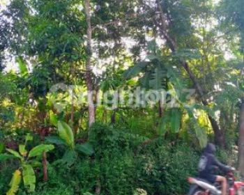 TANAH DI GUNUNGPATI DEKAT WISATA THE PONGS