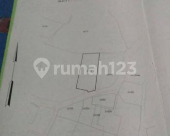 Dijual Murah Tanah Ciapus Bogor
