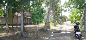 Di Jual Tanah Murah Di Dekat Simpang Tiga Toyan Wates