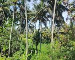 thumbnail-tanah-view-sawah-dan-sungai-ubud-0