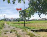 thumbnail-tanah-view-sawah-dan-sungai-ubud-1