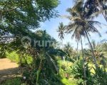 thumbnail-tanah-view-sawah-dan-sungai-ubud-2