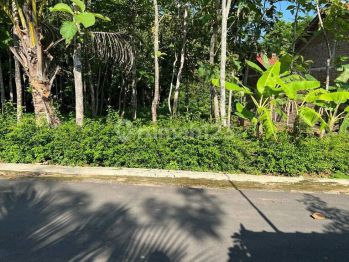 Tanah Strategis 250 Juta Utara Kantor Kecamatan Kerjo