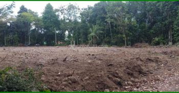Tanah Jogja Bimomartani SHM Pekarangan Dekat Pasar Jangkang