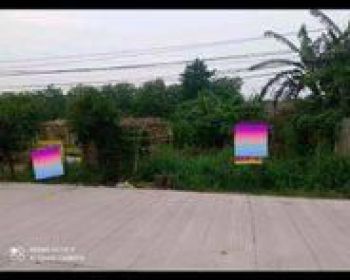 Lahan Di Cisauk Suradita BSD