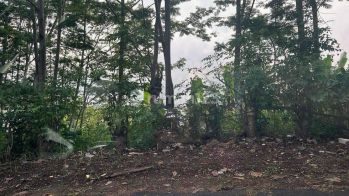 Dijual Dan Disewakan Tanah Luas Jl. Jangli Gabeng Semarang