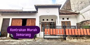 dekat undip tembalang