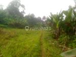 thumbnail-tanah-murah-125-juta-m2-pasaran-5-juta-m2-nempel-jl-raya-sukabumi-bogor-jawa-7