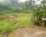 thumbnail-tanah-murah-125-juta-m2-pasaran-5-juta-m2-nempel-jl-raya-sukabumi-bogor-jawa-4