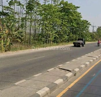 Tanah Strategis Di Pinggir Jalan Pantura Karawang Timur