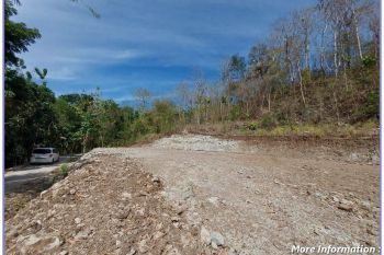Jual Tanah Pleret Dekat Hutan Pinus Pengger
