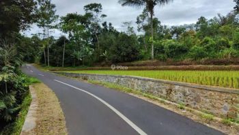 Jual Tanah Cocok Untuk Peternakan Perkebunan atau Pertanian
