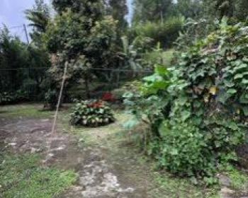 Tanah Kosong Halaman Luas View Gunung Dan Udara Dingin Cilember