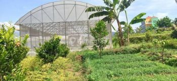 Tanah Murah SHM Pinggir Jalan Aspal Kota Batu