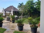 thumbnail-beach-front-villa-di-kubutambahan-buleleng-2