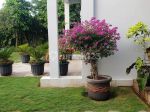 thumbnail-beach-front-villa-di-kubutambahan-buleleng-11