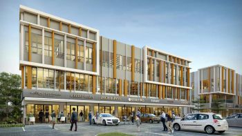 The Loop Type Standard 40 – BSD City