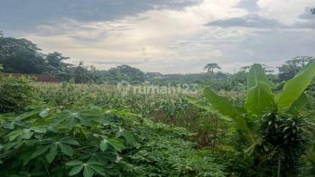 Dijual Tanah Kosong Sangat Murah Via Lelang Didaerah Sawangan Depok