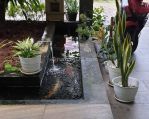 thumbnail-rumah-2-lantai-bagus-semi-furnished-sertifikat-hak-milik-di-perumahan-cibubur-1