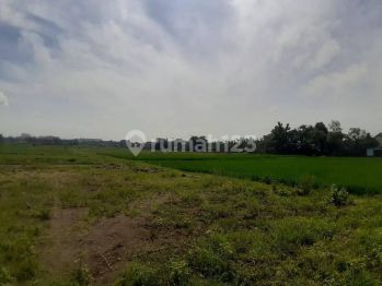 Tanah Jogja Dekat Royal Ambarukmo 6 Jtan Lokasi Nyaman Siap Ajb