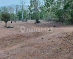 thumbnail-balangan-land-for-sale-0