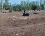 thumbnail-balangan-land-for-sale-4