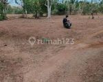 thumbnail-balangan-land-for-sale-2