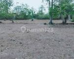 thumbnail-balangan-land-for-sale-6