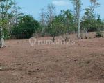 thumbnail-balangan-land-for-sale-5