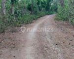 thumbnail-balangan-land-for-sale-1