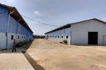 thumbnail-disewakan-gudang-murah-luas-bangunan-3600sqm-bitung-tangerang-5