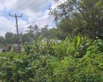 Dijual Tanah Di Pinggir Jalan Hotmix Murah