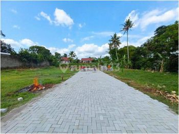 Dekat Uii Ugm Uny, Tanah Jogja Tepi Aspal Siap Ajb Dijual