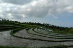 thumbnail-disewakan-tanah-murah-di-tabanan-1