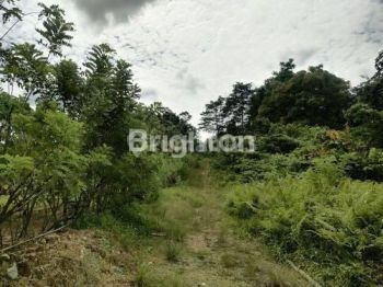 LAHAN TANAH UNTUK LOKASI BISNIS DAN PEMBANGUNAN PERUMAHAN DI JALAN POROS BONTANG