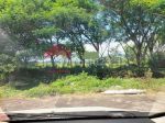 thumbnail-tanah-luas-shm-di-poros-jalan-nasional-exit-tol-purwodadi-7