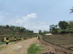 thumbnail-tanah-sawah-subur-harga-istimewa-di-junrejo-kota-batu-4