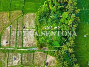 Tanah Ubud Lodtunduh View Sawah Los Sungai