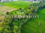 thumbnail-tanah-ubud-lodtunduh-view-sawah-los-sungai-2