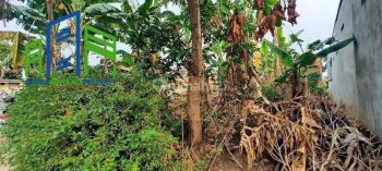 Tanah pekarangan di banyudono dekat jalan raya dan gerbang tol