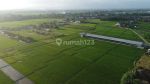 thumbnail-tanah-dg-luas-tanah-2600m2-di-kawasan-kedungu-kediri-tabanan-bali-2