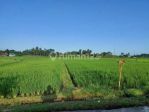 thumbnail-tanah-dg-luas-tanah-2600m2-di-kawasan-kedungu-kediri-tabanan-bali-6