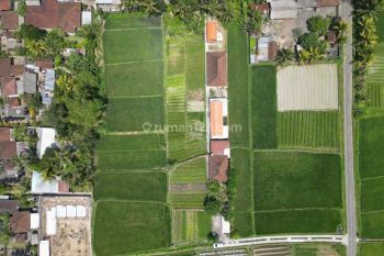 Tanah Kavling Siap Bangun View Sawah Di Ubud