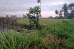 thumbnail-tanah-kavling-siap-bangun-view-sawah-di-ubud-8