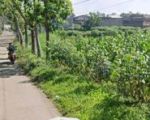 thumbnail-tanah-di-gordah-tanjungsari-50915-m2-shm-4