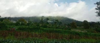 Di Jual Tanah Dekat Nepal Van Java Kaliangkrik Magelang