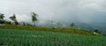 thumbnail-di-jual-tanah-dekat-nepal-van-java-kaliangkrik-magelang-1