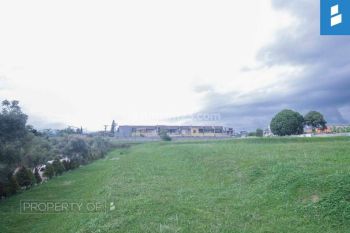 Tanah Hook Mekar Wangi